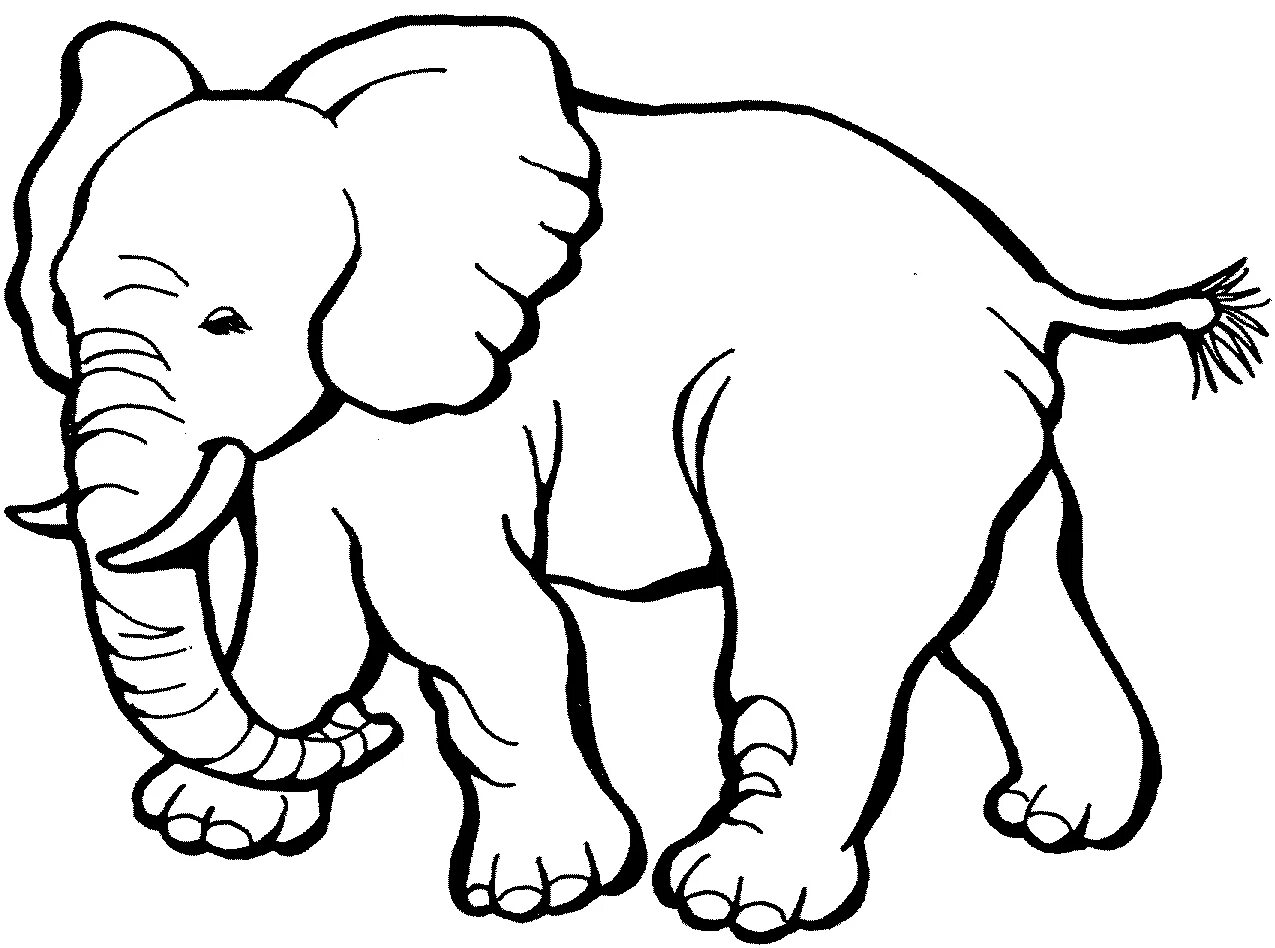 Черно белые картинки для детей раскраска. Слон раскраска. Раскраска Слоник. Слон раскраска для детей. Раскраски животные для детей.