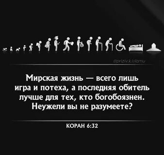 Их жизнь но это лишь