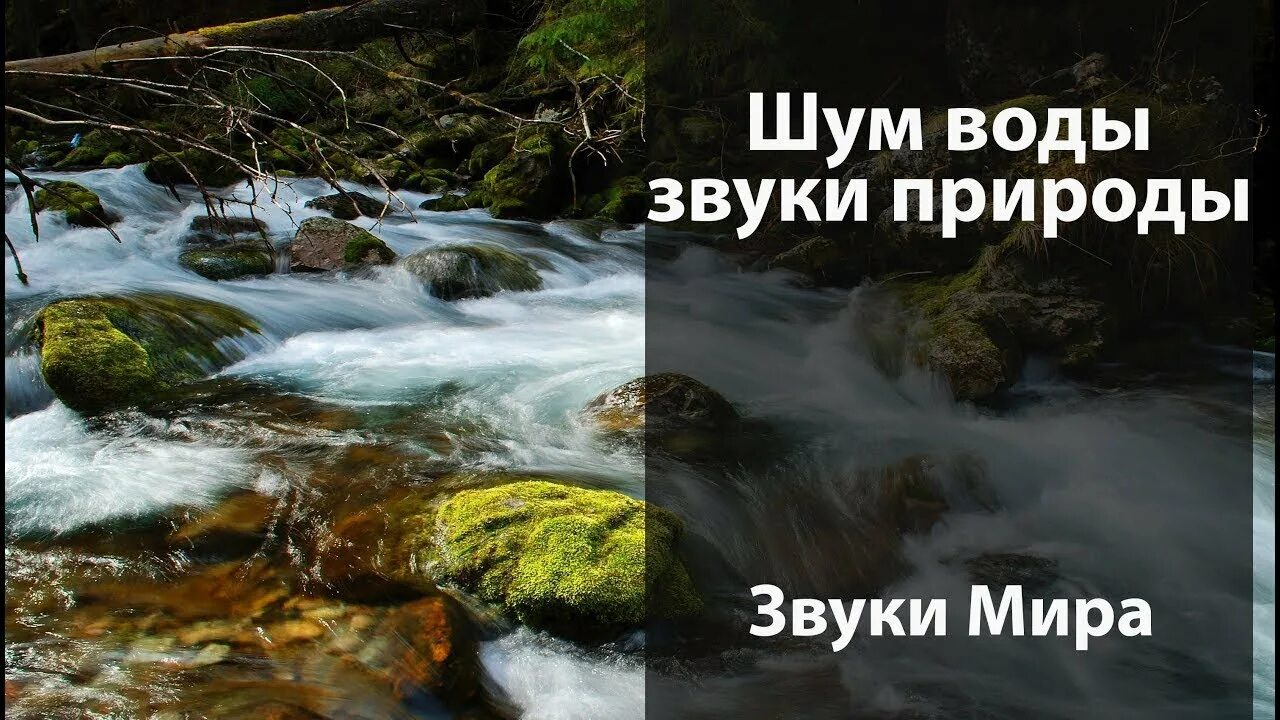 Шум воды становился. Звуки природы для сна. Шум природы для релаксации и успокоения нервов. Звуки для релаксации и успокоения. Звуки природы релакс.