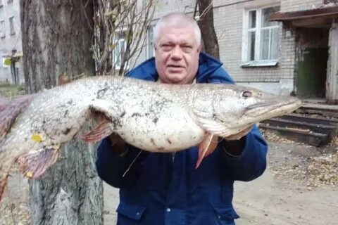 14 килограмм