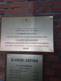 График работы морга