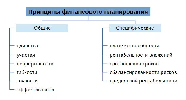 Предмет финансового планирования. Принципы финансового планирования. Принцип единства финансового планирования. Принципы финансового планирования организации. Принципы финансового планирования схема.