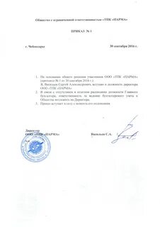 Может ли генеральный директор быть главным бухгалтером