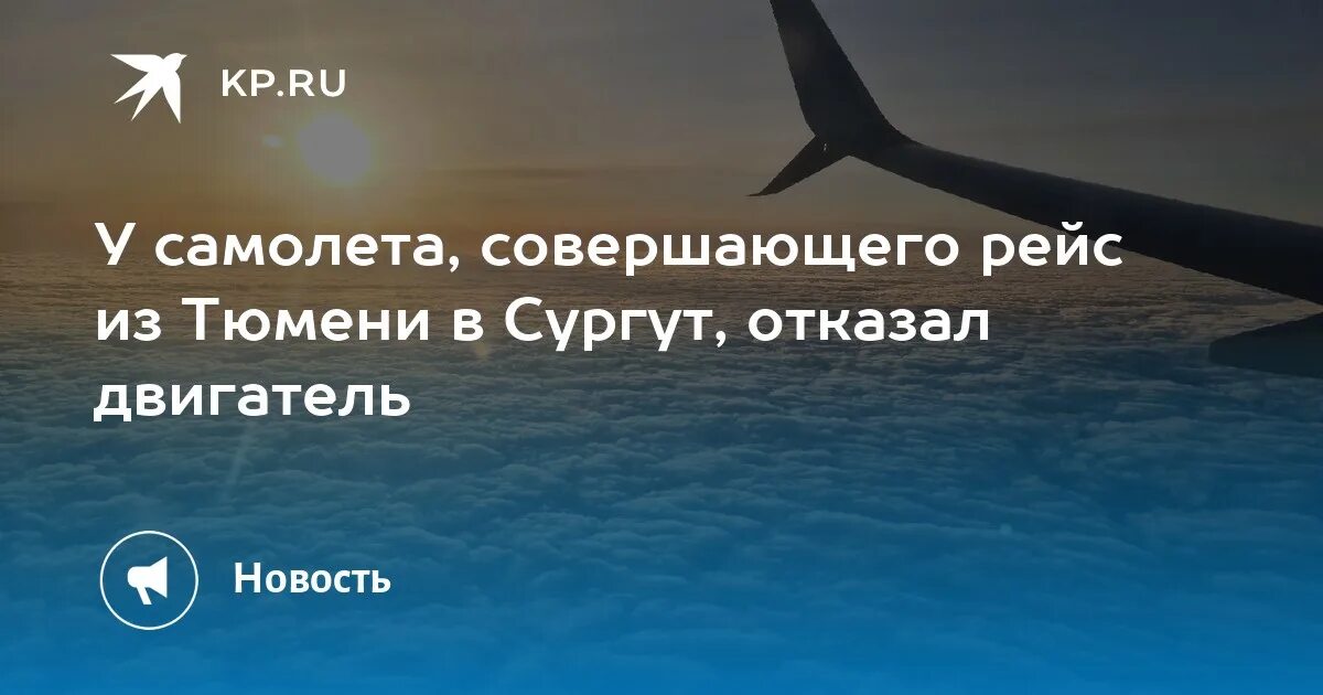 Самолет совершает перелет. Люди в самолете. отказ двигателя самолета. приземляться. приземлился.