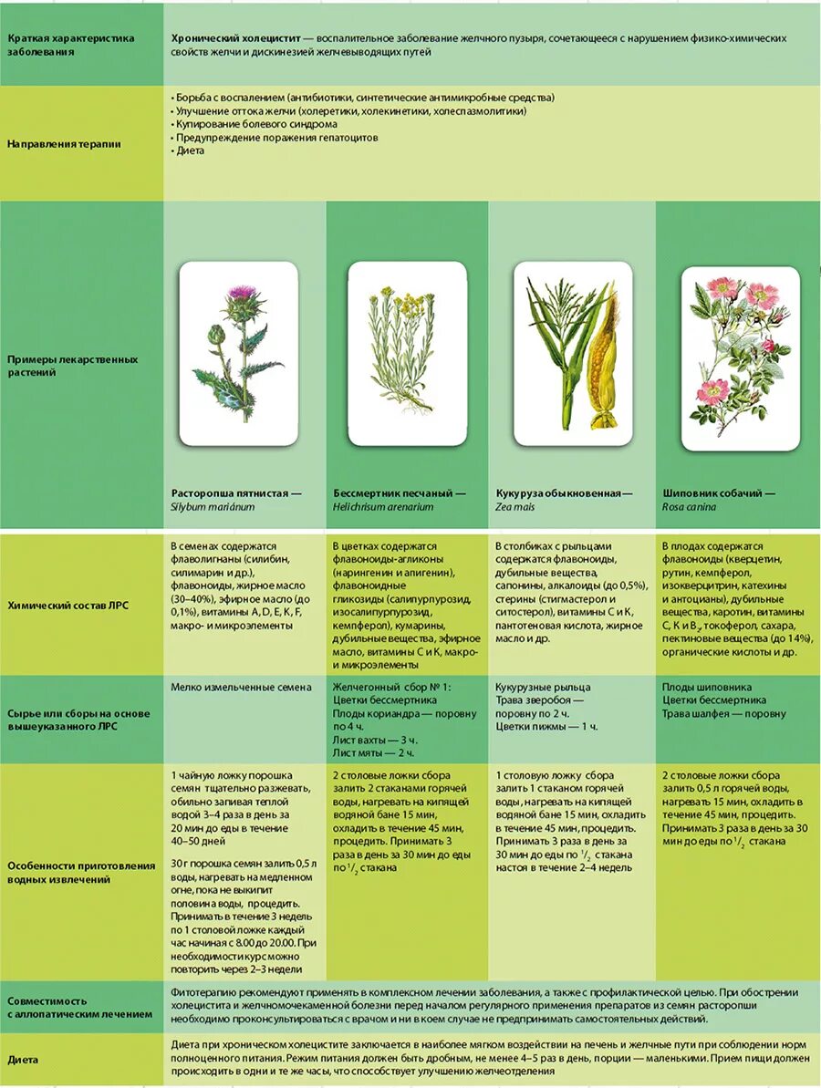 Желчегонные травы список лучших при застое. Фитотерапия при холецистите. Фитотерапия при холецистите хроническом. Лекарственные растения при холецистите. Холецистит фитопрепараты.
