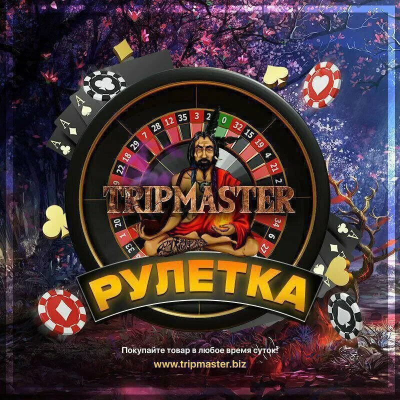 Stm24. 24. Портал в армавире магазин. Трипмастер. 24 в обход.