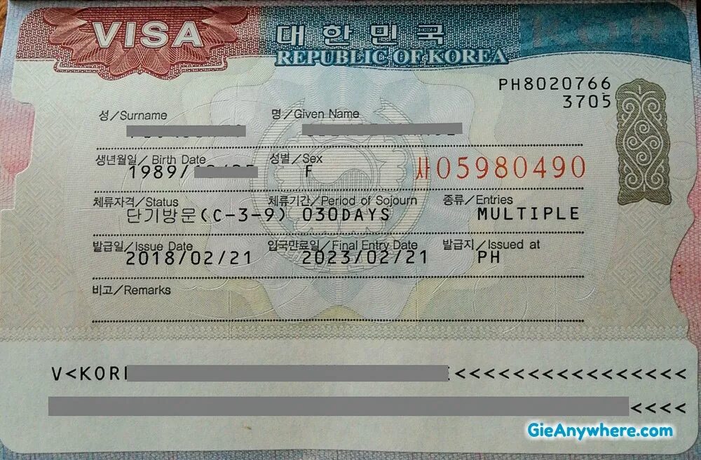 Корейская виза. Korean visa. Виза в Южную Корею. Корейская рабочая виза. Entry visa