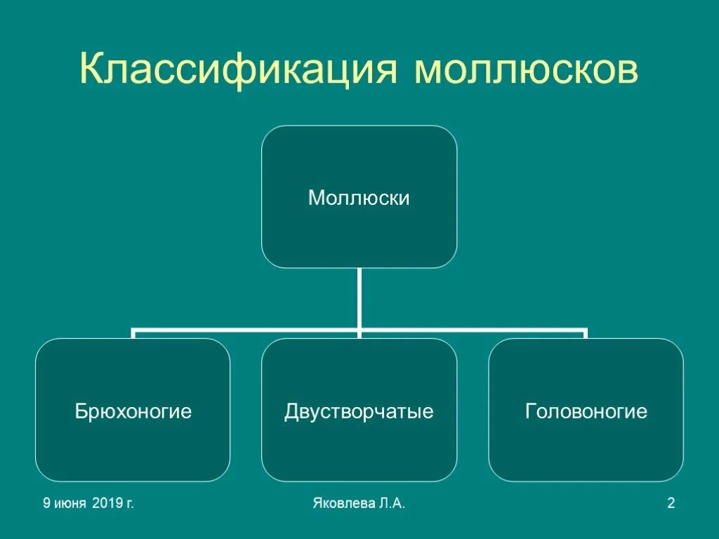 Многообразие карт 6 класс. Виды карт. институты кп. типы географических карт. конституционно-правовые институты.