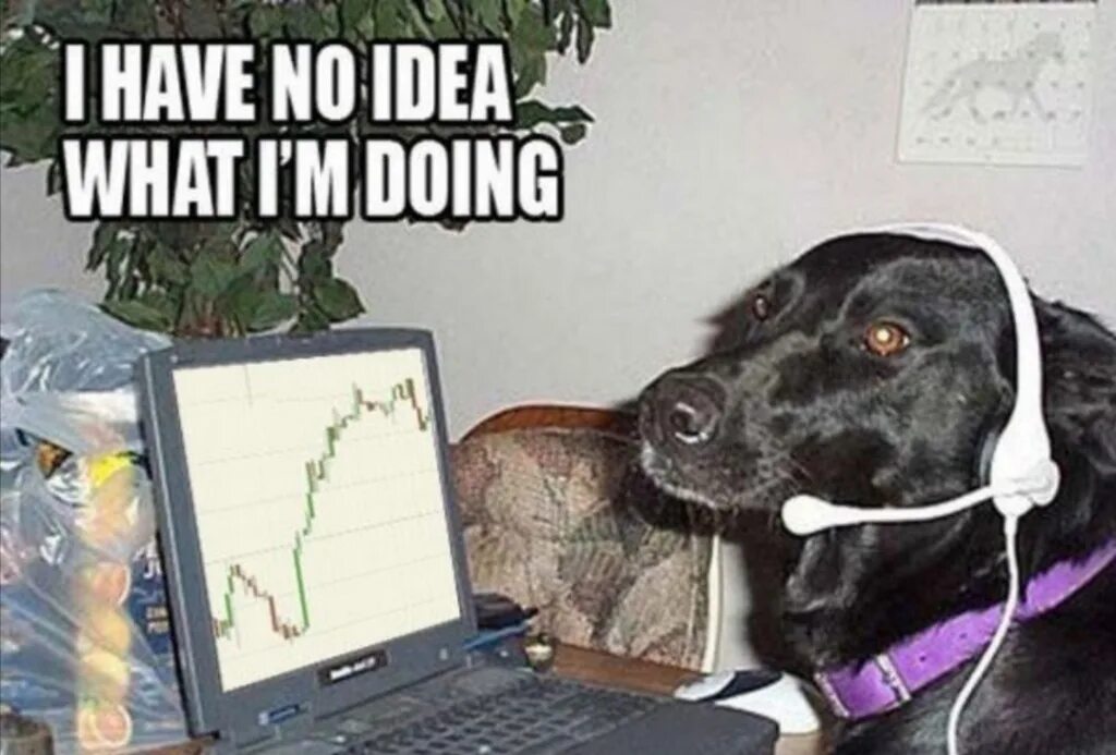Did you have a computer. I have no idea what im doing. i have no idea what i am doing. i have no idea what i&#039;m doing собака. собака трейдер.