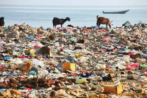 The environment a lot