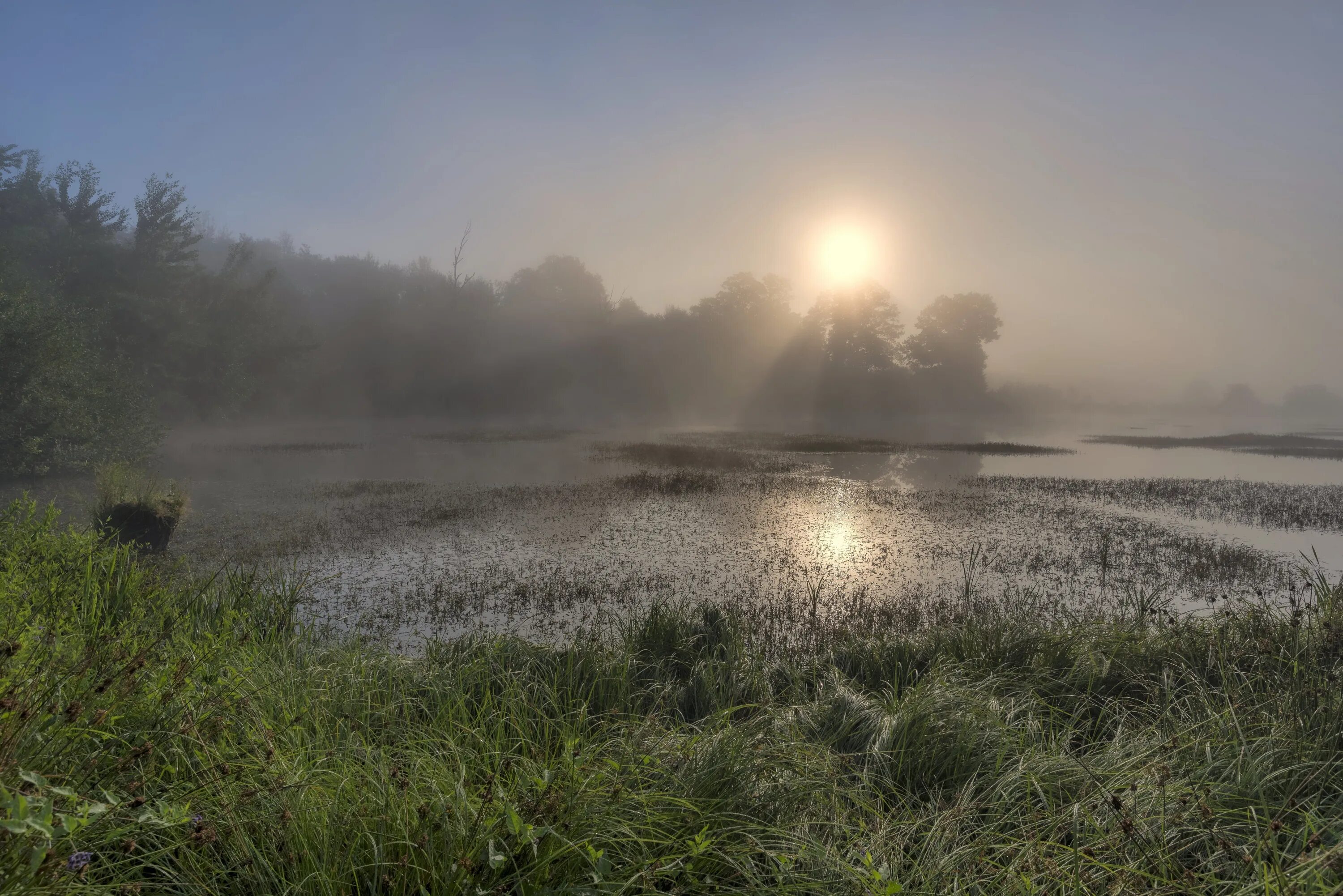 Болотный свет. Плещеево озеро туманы. Туманное утро Фет. Утро туман. Раннее утро на озере.