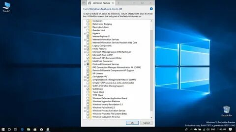 Microsoft features