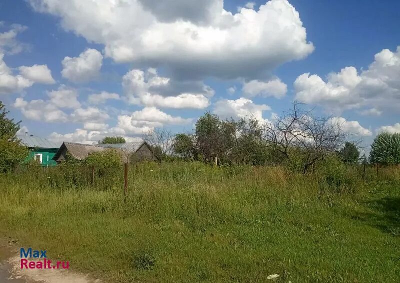 Мальцево рязанская область. Мальцево рязанская область. Мальцево рязанская область. Мальцево рязанская область. Деревня мальцево.