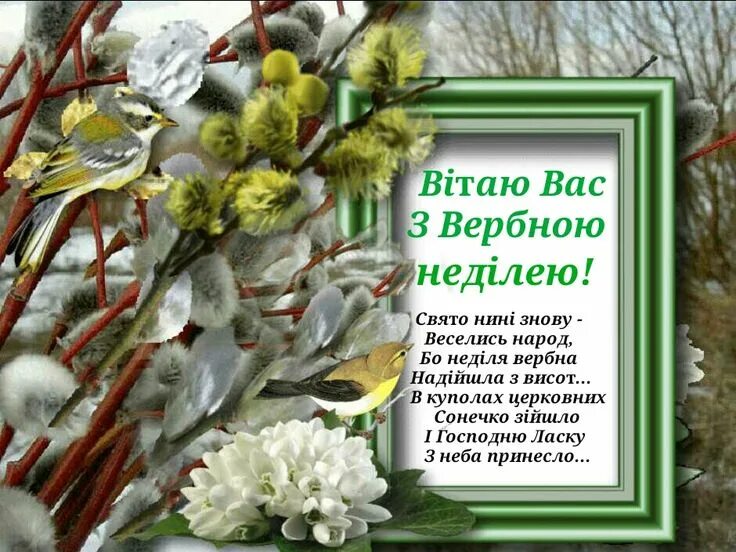 С вербным воскресеньем поздравления на украинском языке. Поздоровлення з вербною неділею. с вербным воскресеньем на украинском языке. вітаю з вербною неділею. вербна неділя привітання.