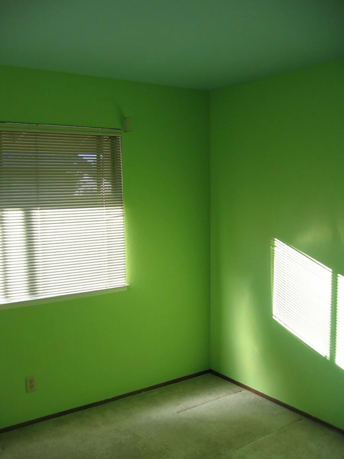 Предмет покрашен краской зеленого цвета. Покрашенные стены. Салатовые стены. Зеленая краска для стен в квартире. Крашеные стены в комнате.