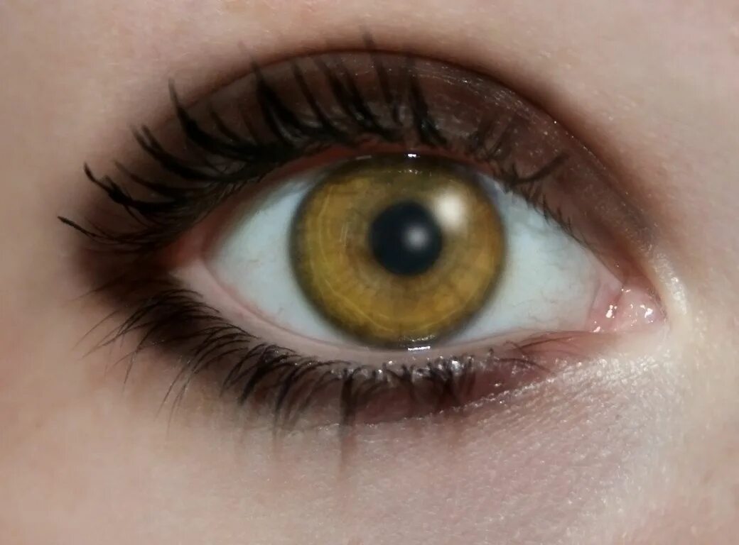 eyes Aesthetic eyes, Eye photography, Beautiful eyes color