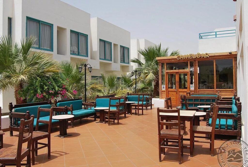 Badawia resort. Badawia sharm resort шарм эль шейх. Badawia sharm resort шарм эль шейх. Badawia sharm resort шарм эль шейх. Badawia sharm resort шарм эль шейх.