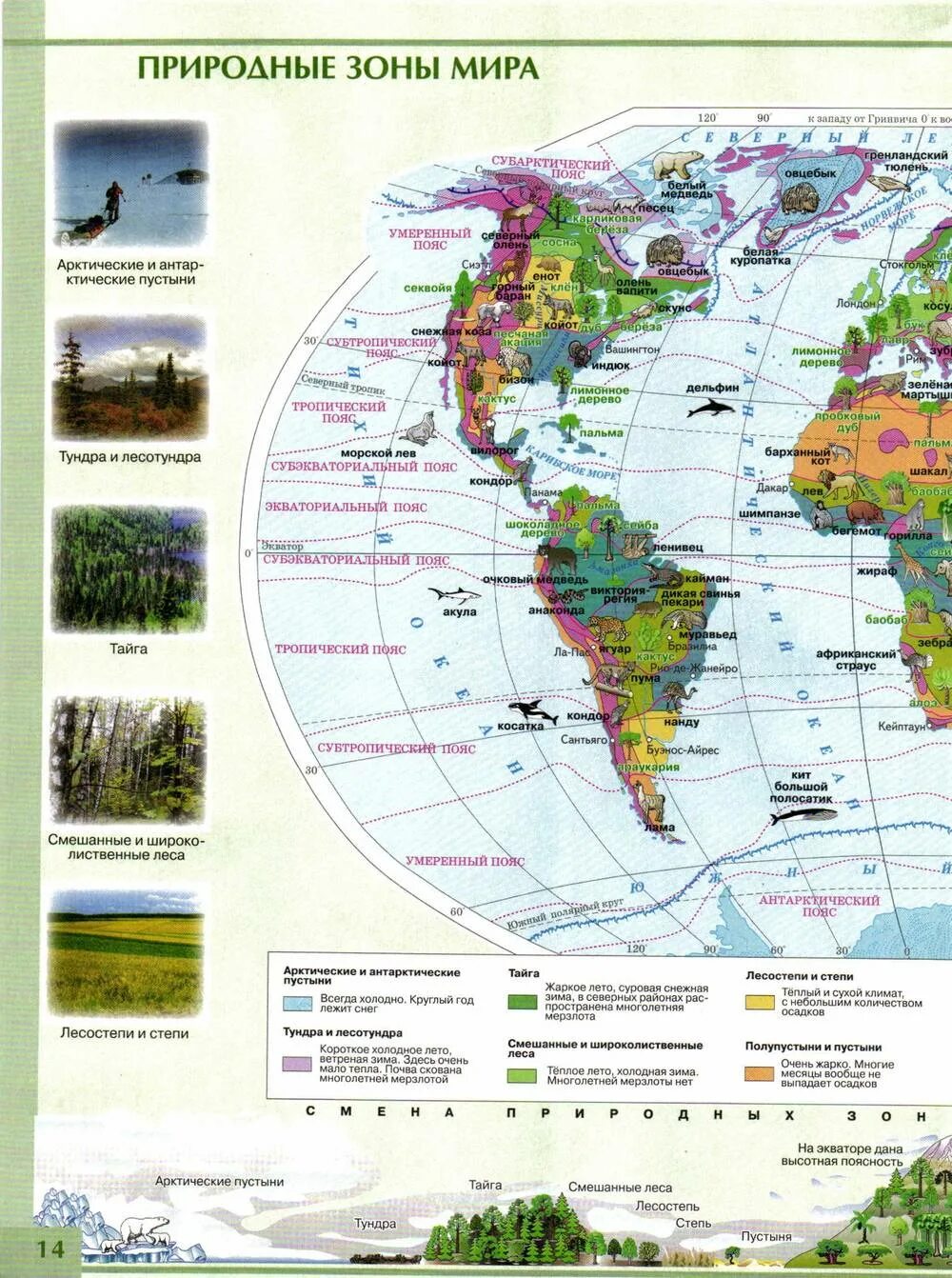 Природные зоны география 7 класс атлас карта.