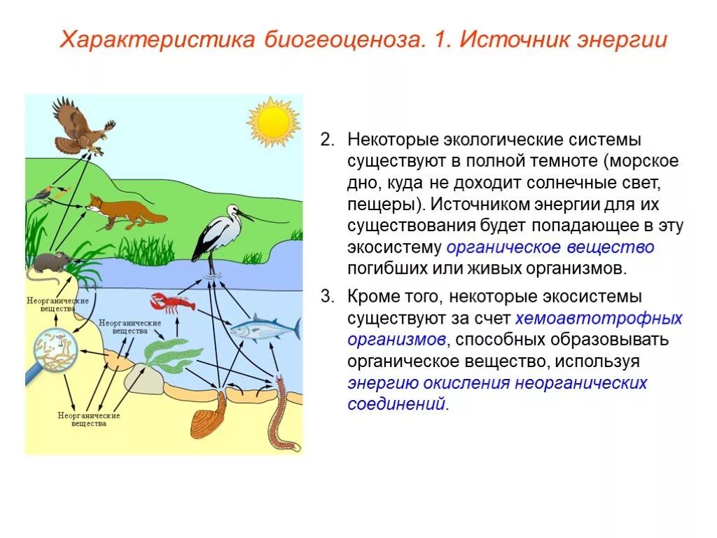 Источником энергии для жизни организмов является. Источники энергии в экосистеме. Энергия в экосистемах. Дополнительные источники энергии в экосистеме. Источник энергии биогеоценоза.