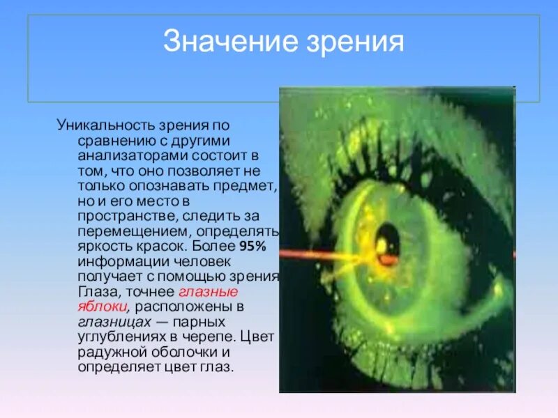 Значение зрения нарушение. Значение зрения. Важность зрения. Значение органа зрения. Орган зрения. Значение зрения.