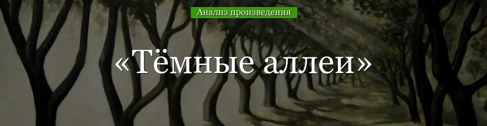 А. Книги бунина. Сборник бунина темные аллеи. Сюжет темной аллеи кратко. Сюжет темной аллеи кратко.
