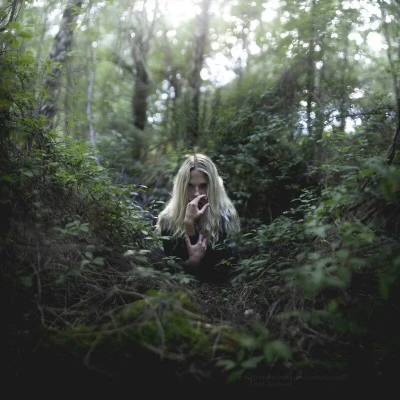 Лесная ведунья книга 2. Ведьма блондинка в лесу. Фотосессия ведьма в лесу. Белая ведьма в лесу. Ведьма в лесу спиной.