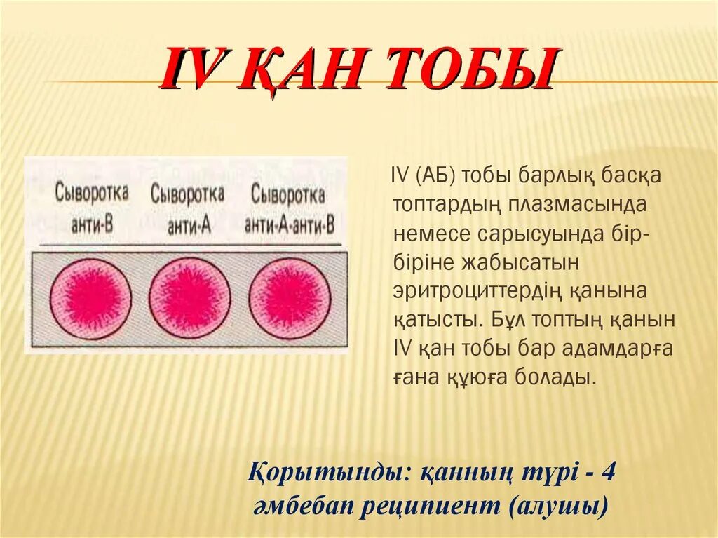 Группа крови это. Редкая группа крови. Самая редкая группа крови. Группы крови 2 + 4 группа. 4 Группа крови.