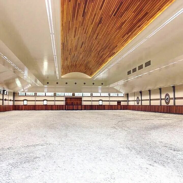 Арена хорс. Horse Arena Indoor. Equestrian Indoor Arena. Dressage Arena Indoor. Horse Arena inside.