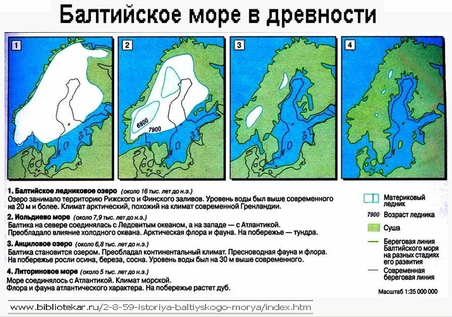 Береговая линия балтийского. Стадии Балтийского моря. Этапы развития Балтийского моря. Стадии образования Балтийского моря. Изрезанность береговой линии Балтийского моря.