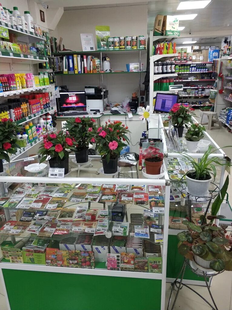 Магазин садоводства. Фазенда магазин в шуе. Магазин садовод. Интерьер магазина для садоводов. Выкладка товара сад.