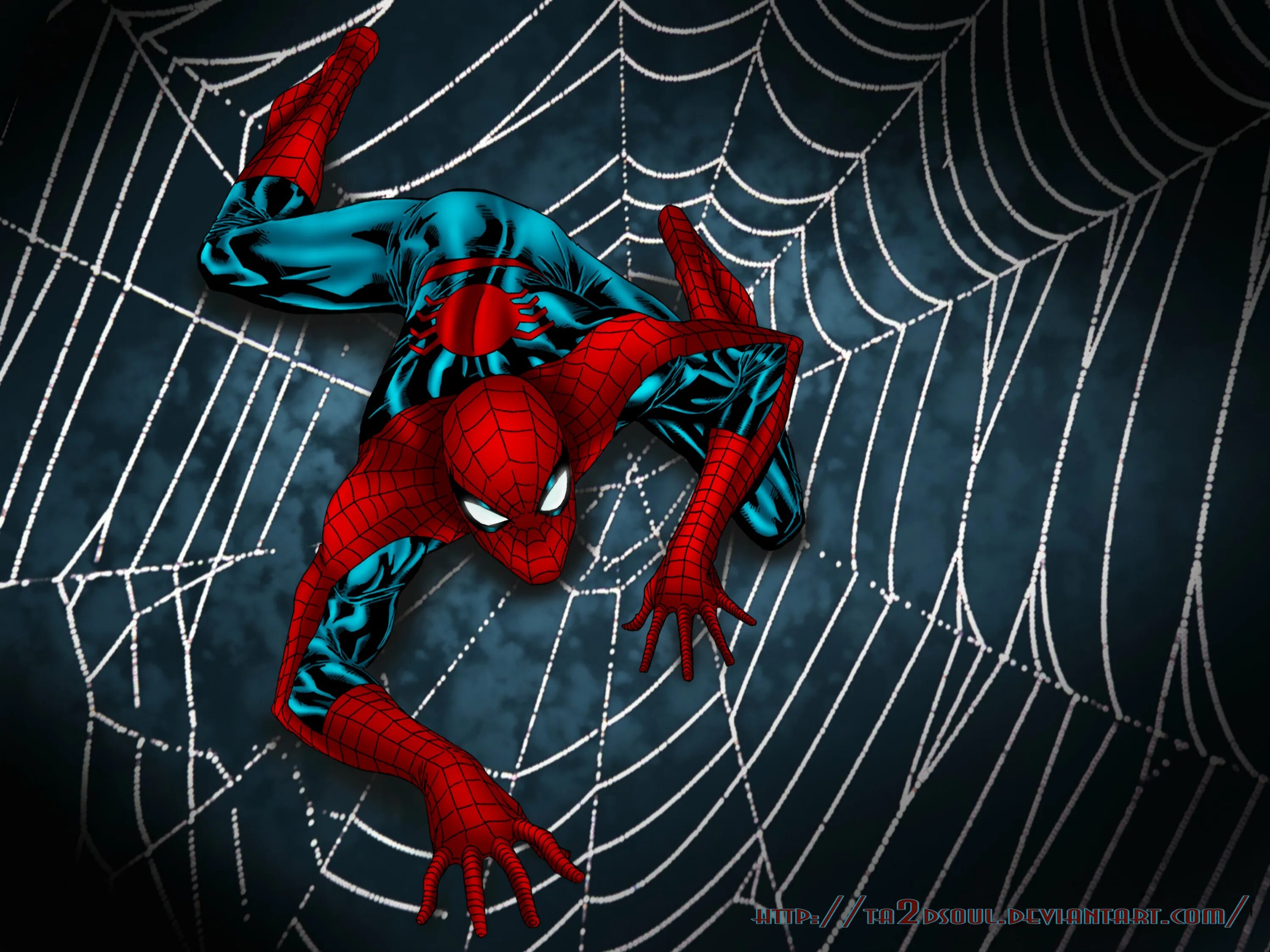 Spiderman web