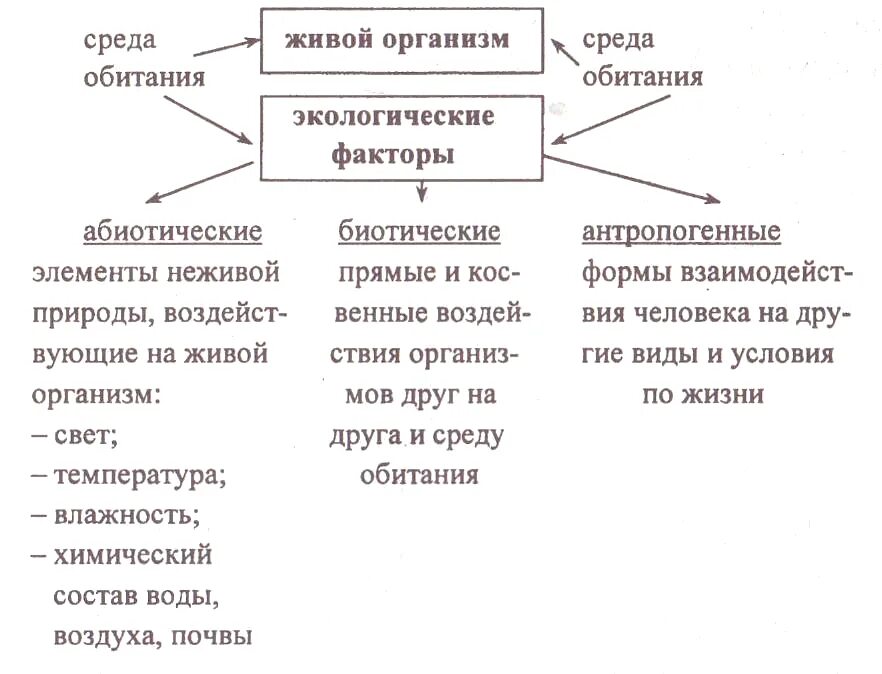 Схема по биологии экологические факторы среды. Факторы среды обитания схема. Экологические факторы среды таблица 5 класс по биологии. Схема по биологии экологические факторы.