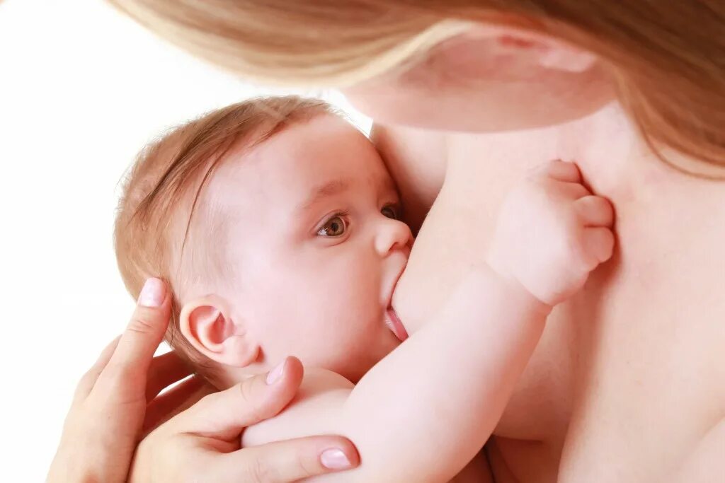 Е лактация. Breastfeed stock. Putting the Baby to the breast.