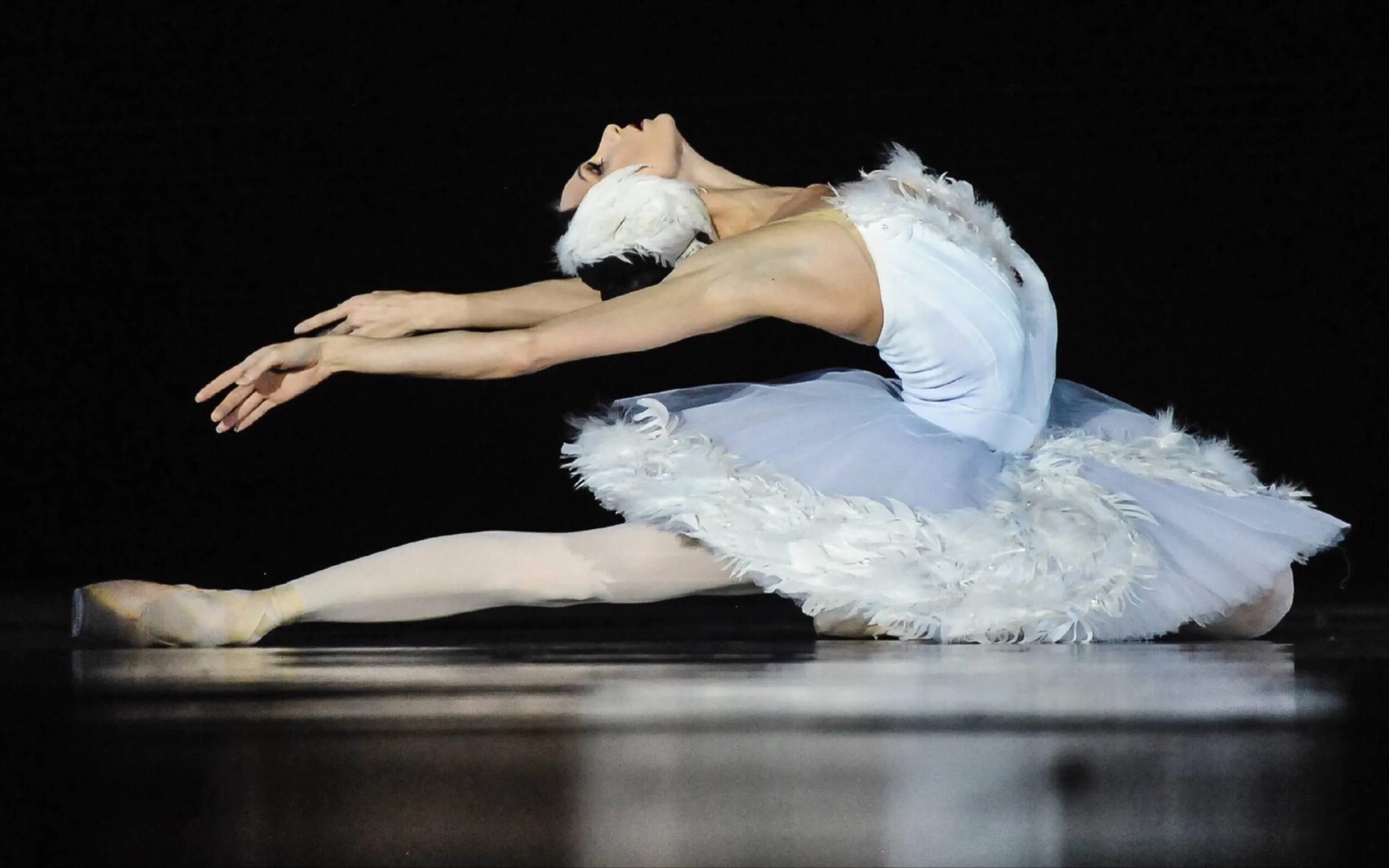 майя плисецкая лебединое озеро. майя плисецкая балет лебединое озеро. галина уланова лебединое озеро. лебединое озеро петипа. анна павлова лебединое озеро.