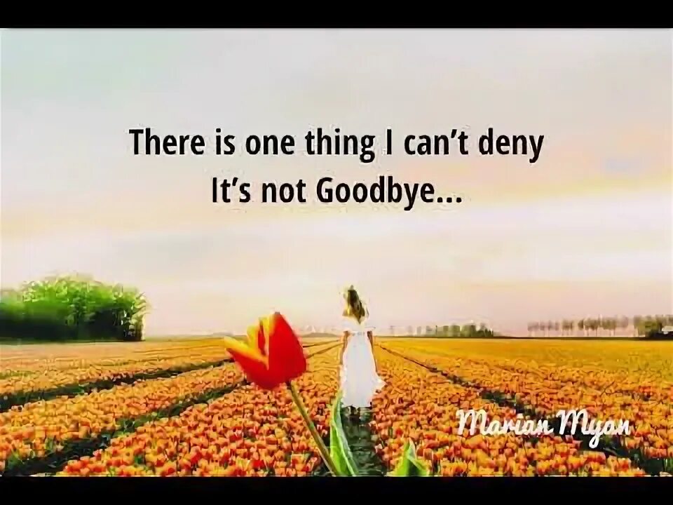 Песня it s not goodbye. Песня it s not goodbye