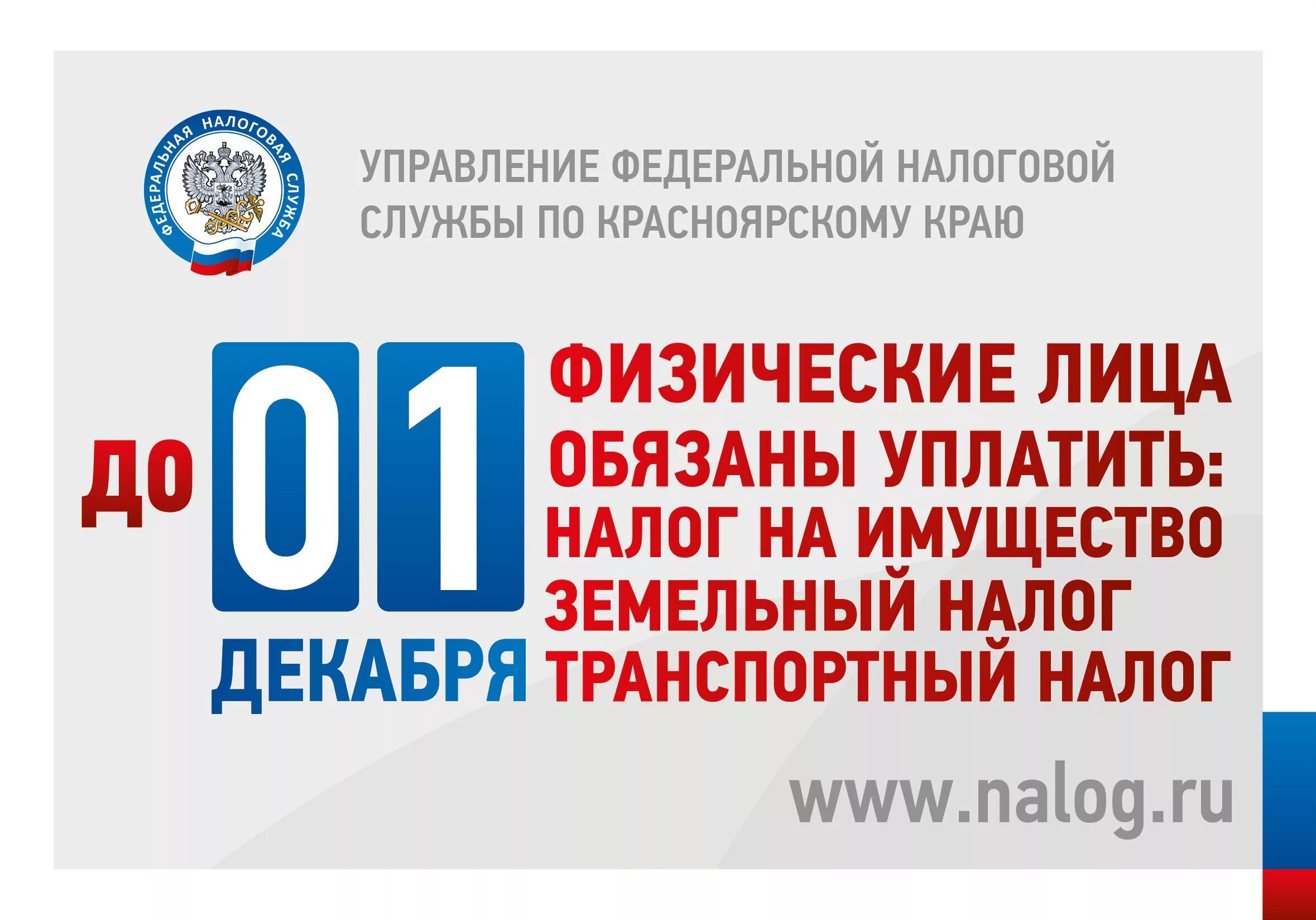 1 Декабря срок уплаты имущественных налогов 2021. Оплата налога до 1 декабря. Срок уплаты имущественных налогов - до 1 декабря. ФНС.