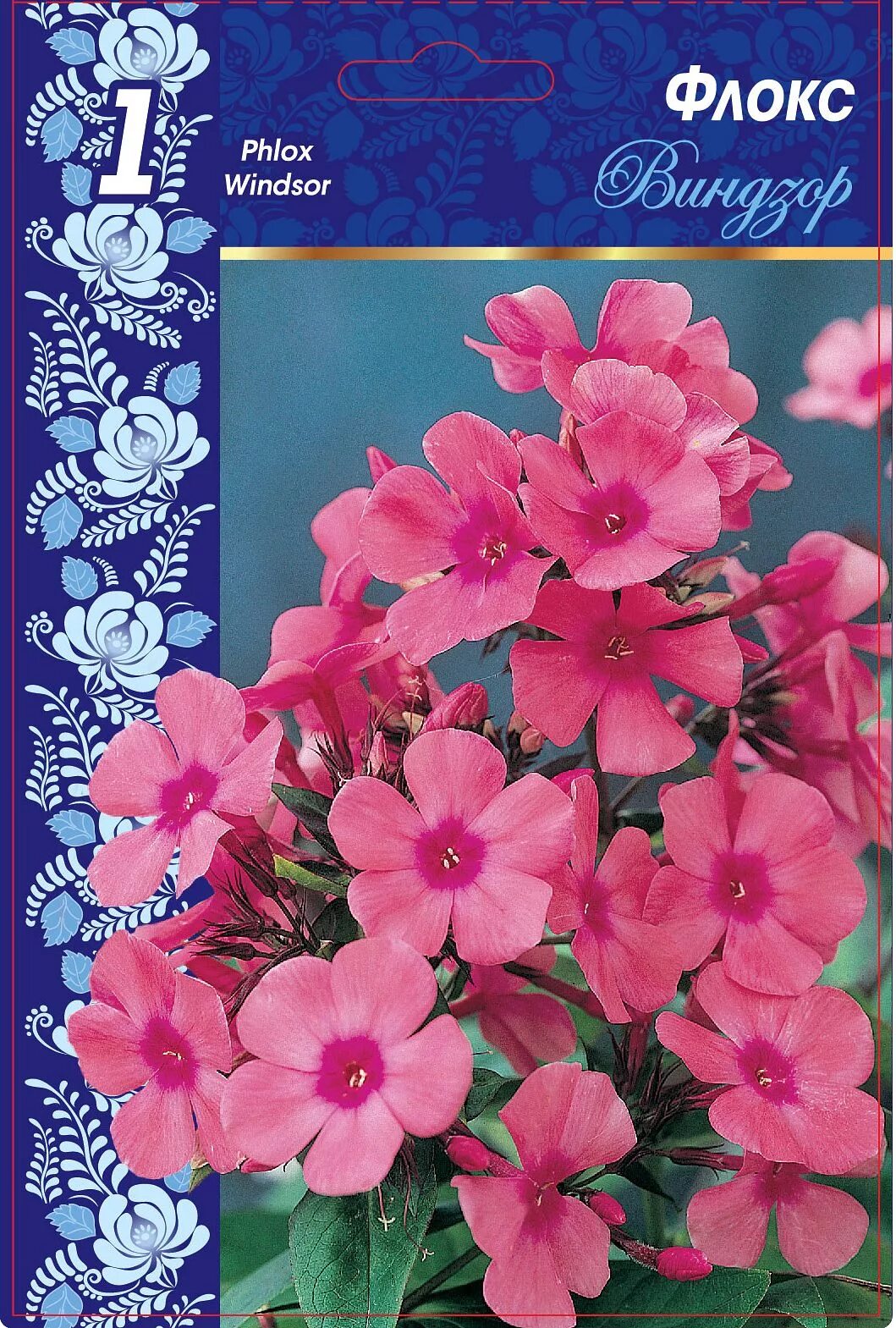 Флокс виндзор фото. Флокс Виндзор. Флокс метельчатый Виндзор Phlox paniculata Windsor. Флокс метельчатый Виндзор Флокс метельчатый Виндзор.