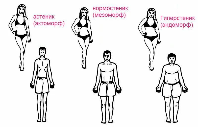Как определить астеник нормостеник. Типы телосложения человека астеник нормостеник гиперстеник. астеник тип телосложения. тип конституции нормостеник астеник гиперстеник. типы телосложения у астеник гиперстеник.
