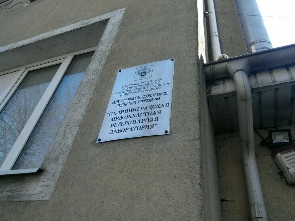 16. лаборатория нижний новгород. баррикад 181 калуга. проспект победы 42 ветлаборатория. лаборатория смэ вятские поляны.