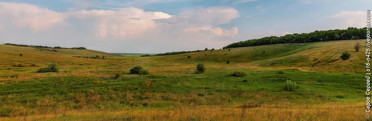 Село Можайское Воронежской области. Можайское озеро Воронежская область. Семидесятное Хохольского района Воронежской области. Петропавловский район Воронежская область.