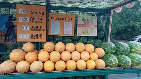Купили 3 дыни
