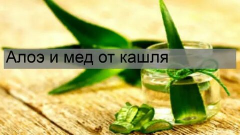 Алоэ от кашля