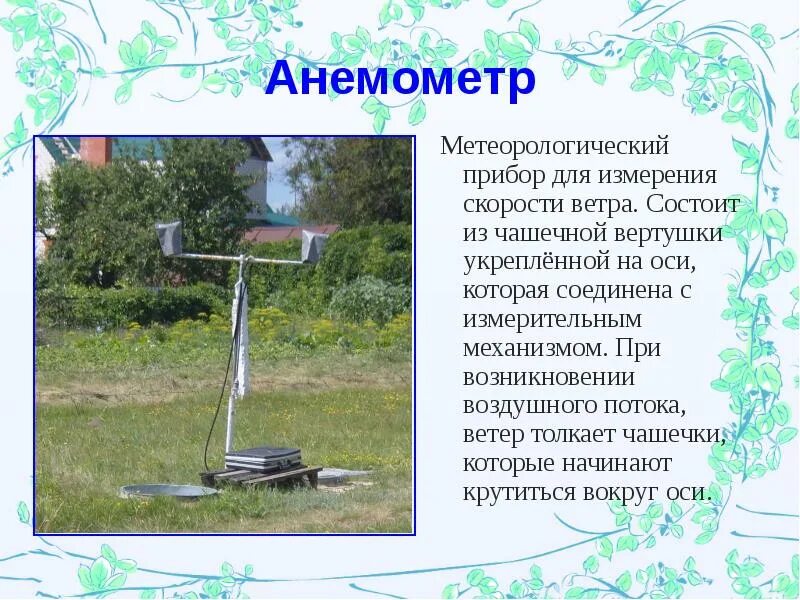 Значение метеорологии. Значение метеорологии