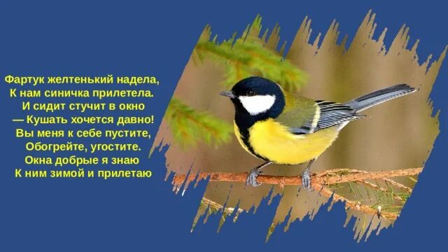 Каждый день прилетает синичка. Прилетела к нам синичка. Синица прилетели синица. Синичка счастливого дня. Когда прилетают синички.