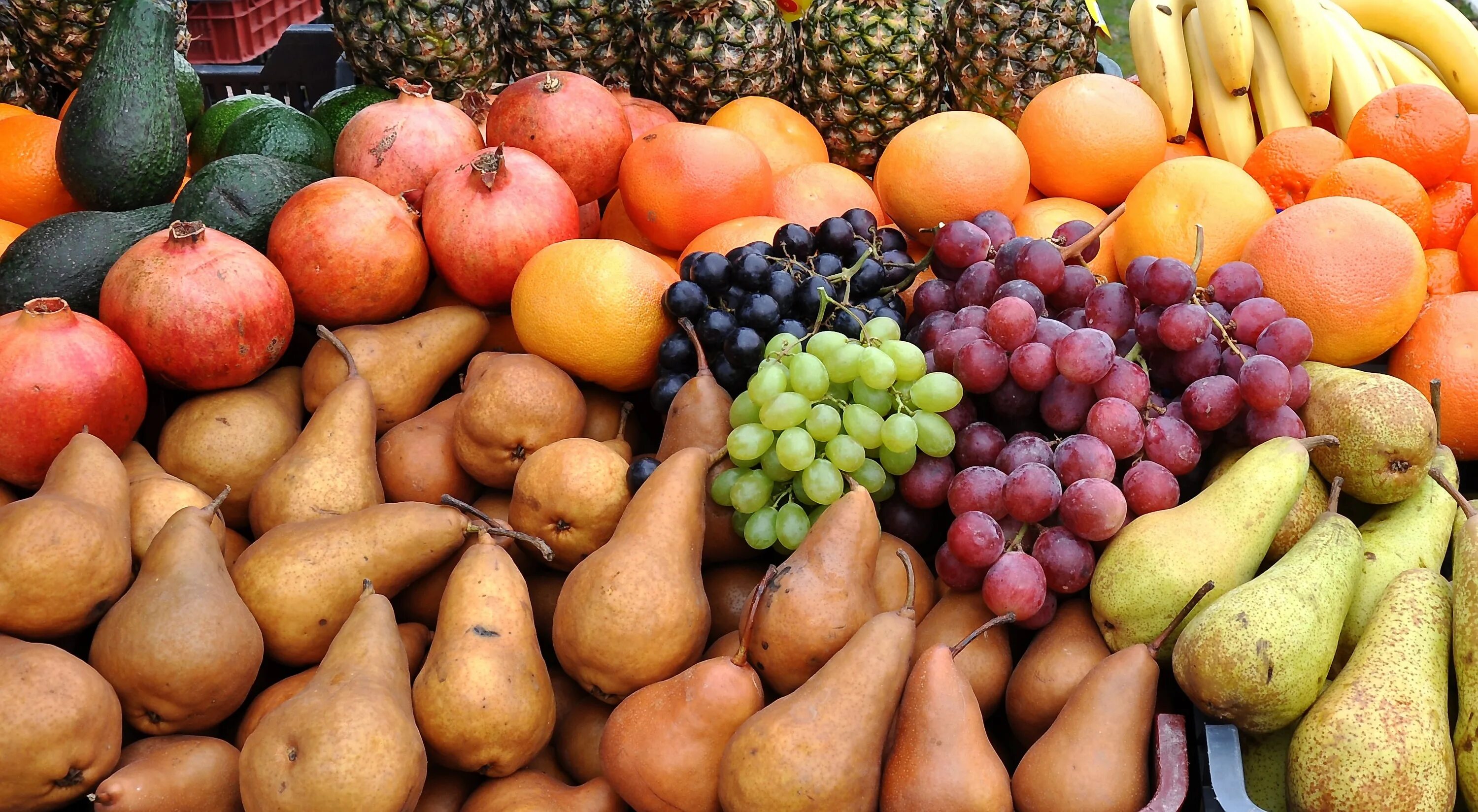 Узбекские фрукты. Кубанские фрукты. Узбекские фрукты и овощи. Узбек с фруктами.