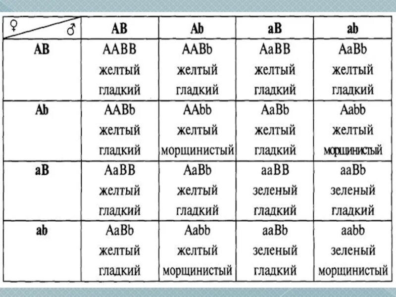 AABB * AABB решётка Пеннета. Таблица дигибридного скрещивания решетка Пеннета. Таблица решётки дигибридного скрещивания. Решетки Пеннета на 16 и 64 ячейки. Как скрещивать палов