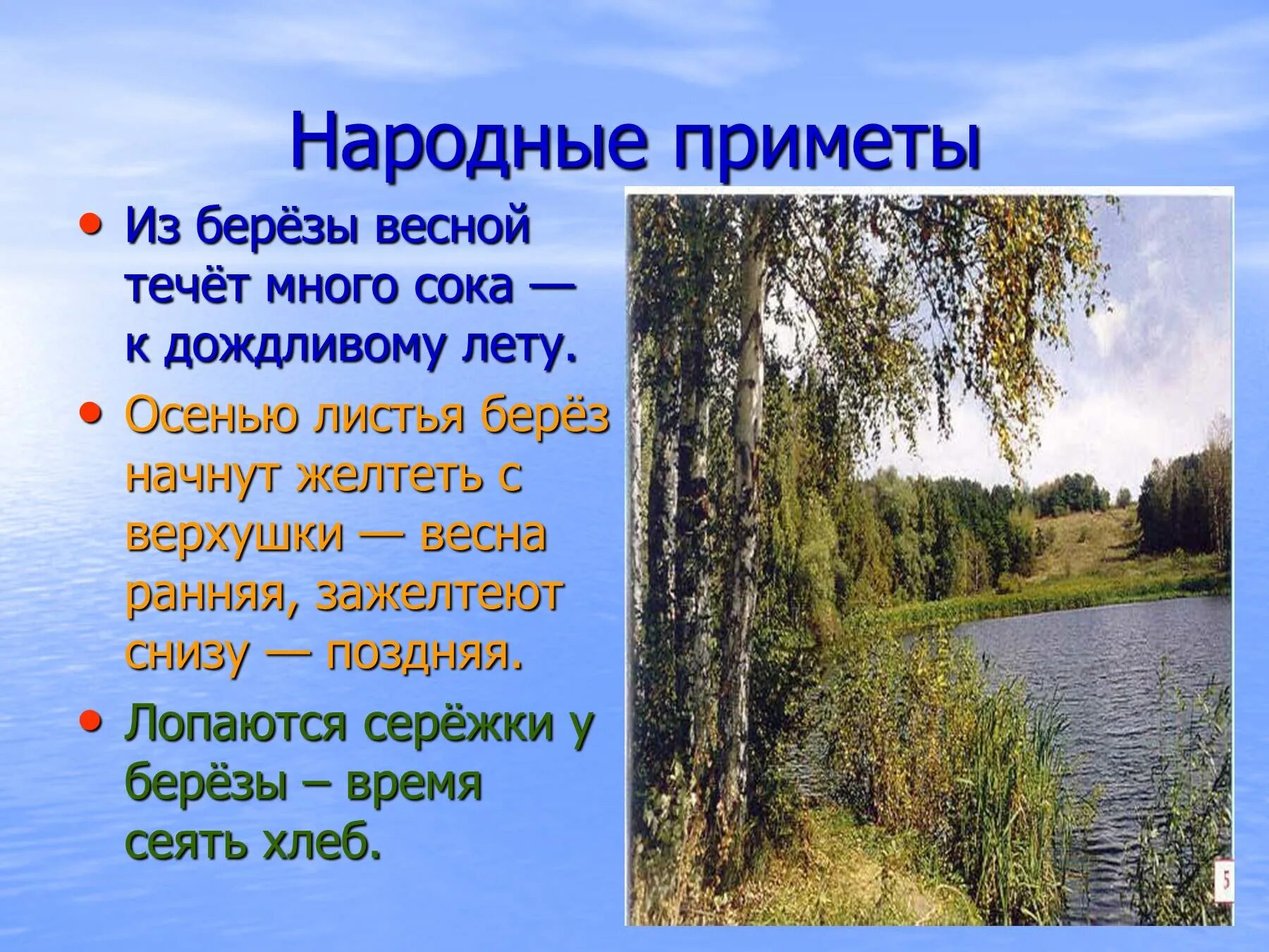 Народные приметы каким будет лето. Народные приметы о Березе. Пословицы о Березе. Приметы и пословицы о погоде. Приметы русского народа.