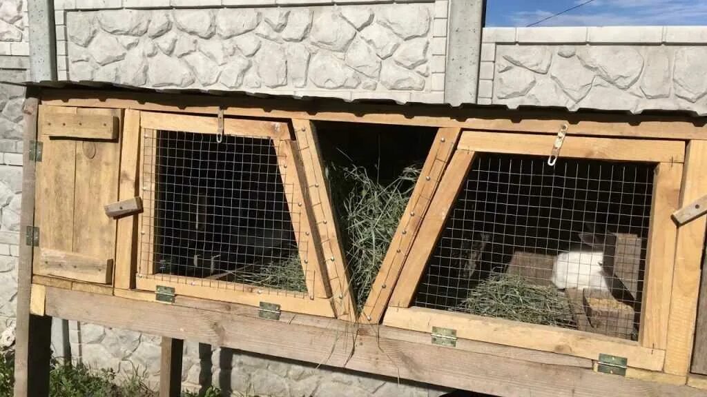 Клетки для кроликов золотухина. Кролики клетки кормушки. Поилка для кроликов системы макляк. Кормушка для комбикорма для кроликов. Кормушки для кроликов золотухина.