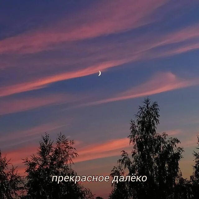 Прекрасное далеко напрасно и далеко. Прекрасное далёко напрасно и далёко. прекрасное далёко напрасно и далёко бессмысленно жестоко. прекрасное далеко бессмысленно жестоко.