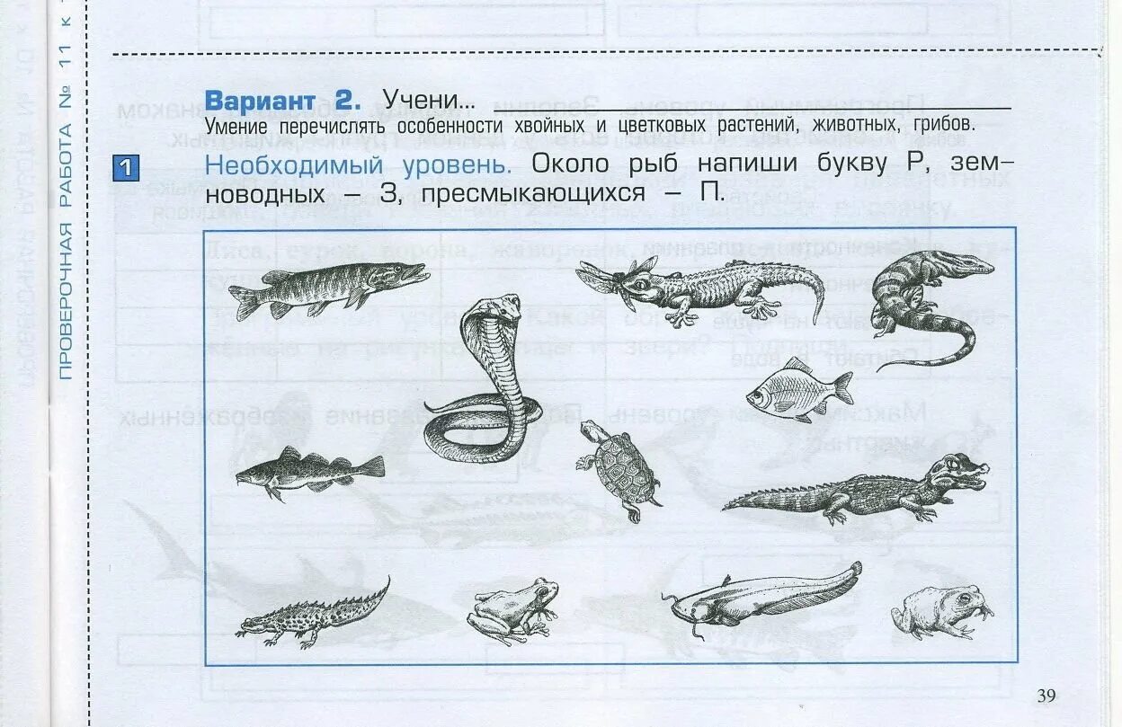 Пресмыкающиеся задания 2 класс. Задание по окр мир 3 класс. Пресмыкающиеся 1 класс задания. Задания по окруж миру 1 класс. Рыбы 1 класс окружающий мир задания.